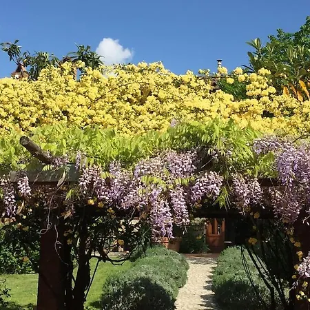 Villa La Fornace. Stunning Country House And Grounds