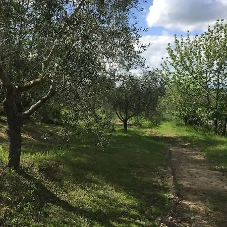 La Fornace. Stunning Country House And Grounds Villa *