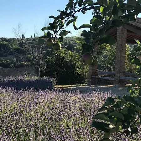 Villa La Fornace. Stunning Country House And Grounds